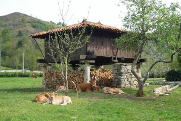 Hotel Rural Sucuevas (Adults Only) Llano-Con Exterior photo